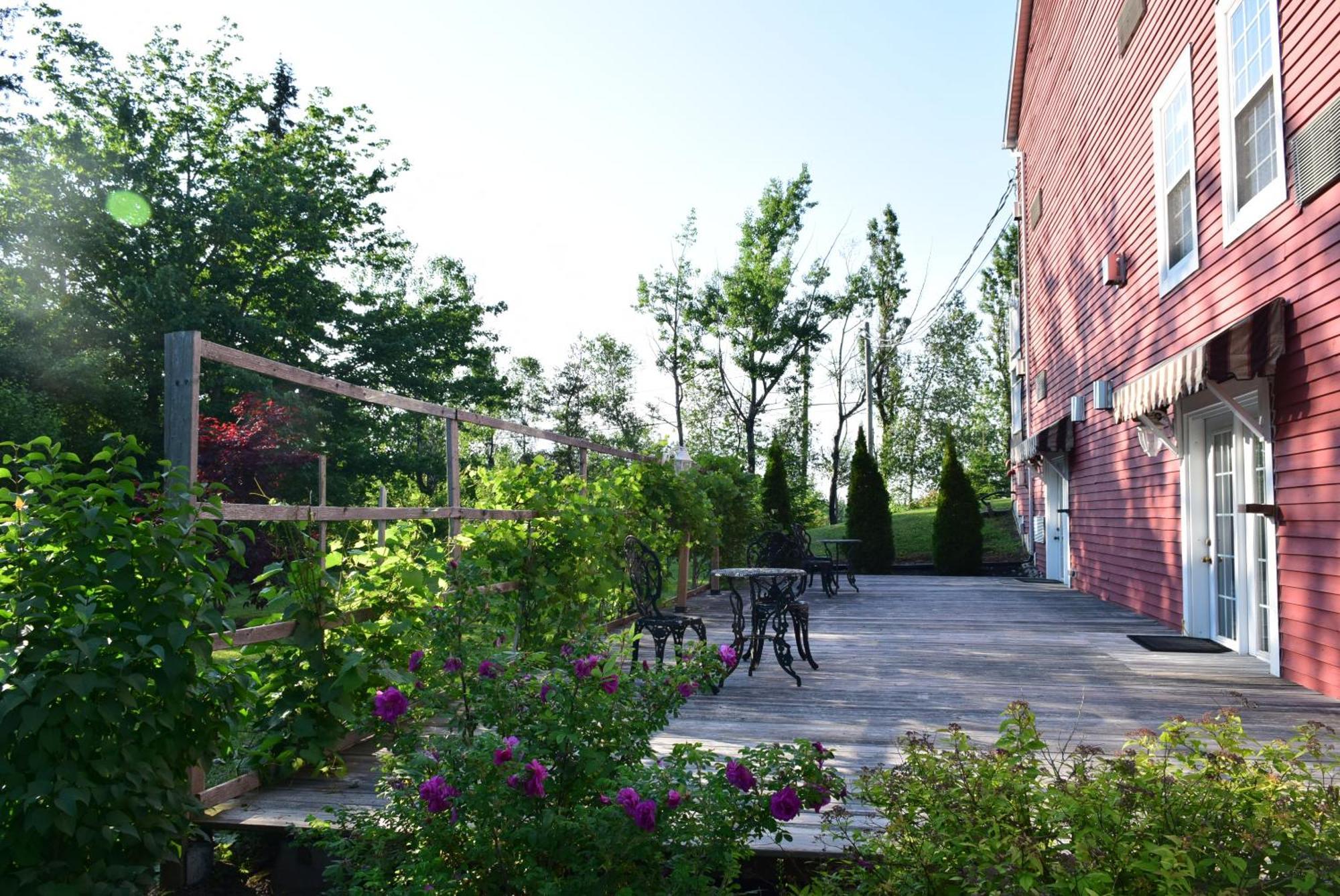 Auberge Wild Rose Inn Moncton Extérieur photo
