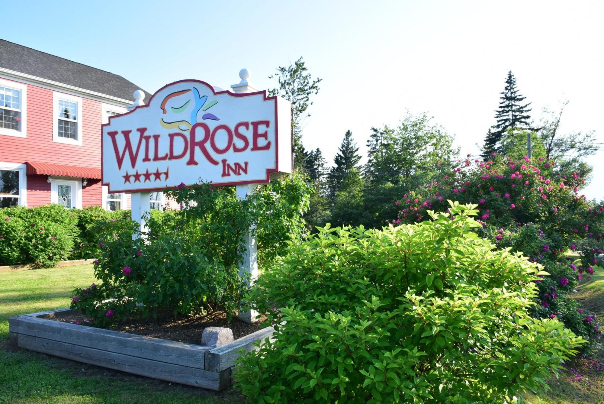 Auberge Wild Rose Inn Moncton Extérieur photo